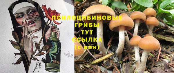 гашик Алексеевка