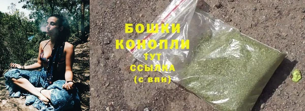 хмурый Щигры