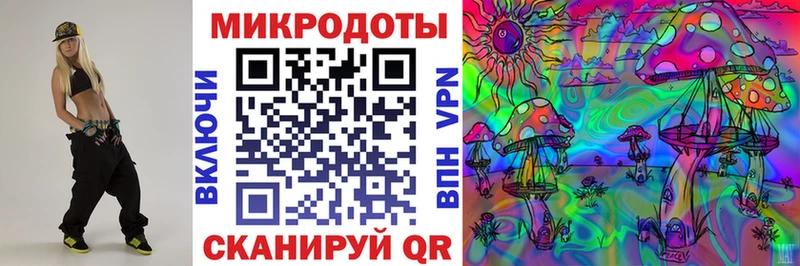 Псилоцибиновые грибы Cubensis Яранск